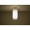 Besa Lighting Pahu 8 Ceiling, Trans. Smoke/Opal, Satin Nickel Finish, 1x100W Incandescent 1KM-S00607-SN - alternate 1
